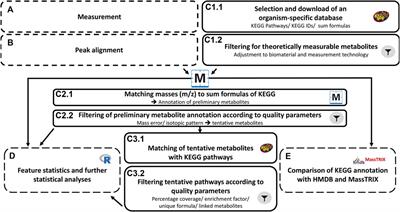 Microbiota independent effects of oligosaccharides on Caco-2 cells -A semi-targeted metabolomics approach using DI-FT-ICR-MS coupled with pathway enrichment analysis